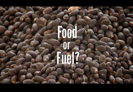 Future Food - Kenya Food or Fuel