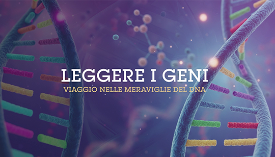 Lezione 1: 