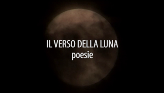 TERRA LUNA: Il verso della Luna, poesie